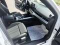 Audi A4 Avant 40 TDI S line quattro/Matrix/AHK/Standhei Weiß - thumbnail 23