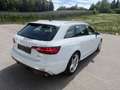 Audi A4 Avant 40 TDI S line quattro/Matrix/AHK/Standhei Weiß - thumbnail 5