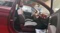 Fiat 500 1.2 Collezione Burdeos - thumbnail 9