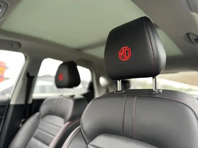 MG ZS view 11