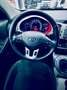 Kia Sportage Sportage 1.7 crdi Cool 2wd Bianco - thumbnail 11