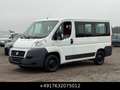 Fiat Ducato Kombi 30 115 9-Sitzer 1.Hand St.Hz. Weiß - thumbnail 3