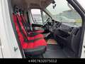 Fiat Ducato Kombi 30 115 9-Sitzer 1.Hand St.Hz. Weiß - thumbnail 16