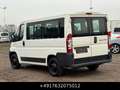 Fiat Ducato Kombi 30 115 9-Sitzer 1.Hand St.Hz. Weiß - thumbnail 12