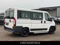 Fiat Ducato Kombi 30 115 9-Sitzer 1.Hand St.Hz. Weiß - thumbnail 9