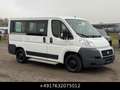 Fiat Ducato Kombi 30 115 9-Sitzer 1.Hand St.Hz. Weiß - thumbnail 7