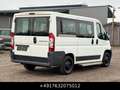 Fiat Ducato Kombi 30 115 9-Sitzer 1.Hand St.Hz. Weiß - thumbnail 10