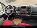 Fiat Ducato Kombi 30 115 9-Sitzer 1.Hand St.Hz. Weiß - thumbnail 15