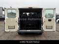 Fiat Ducato Kombi 30 115 9-Sitzer 1.Hand St.Hz. Weiß - thumbnail 22