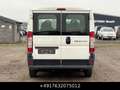 Fiat Ducato Kombi 30 115 9-Sitzer 1.Hand St.Hz. Weiß - thumbnail 11