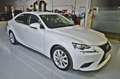 Lexus IS 300 300h Executive Tecno + Navibox Blanco - thumbnail 4