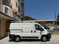 Fiat Ducato 2.3 MJT 130CV 14Q ALLESTITO Bianco - thumbnail 5