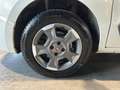 Fiat Qubo QUBO 1.3 MJT 95 CV Trekking Bianco - thumbnail 12