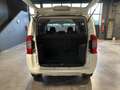 Fiat Qubo QUBO 1.3 MJT 95 CV Trekking Bianco - thumbnail 11