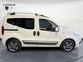 Fiat Qubo QUBO 1.3 MJT 95 CV Trekking Bianco - thumbnail 7