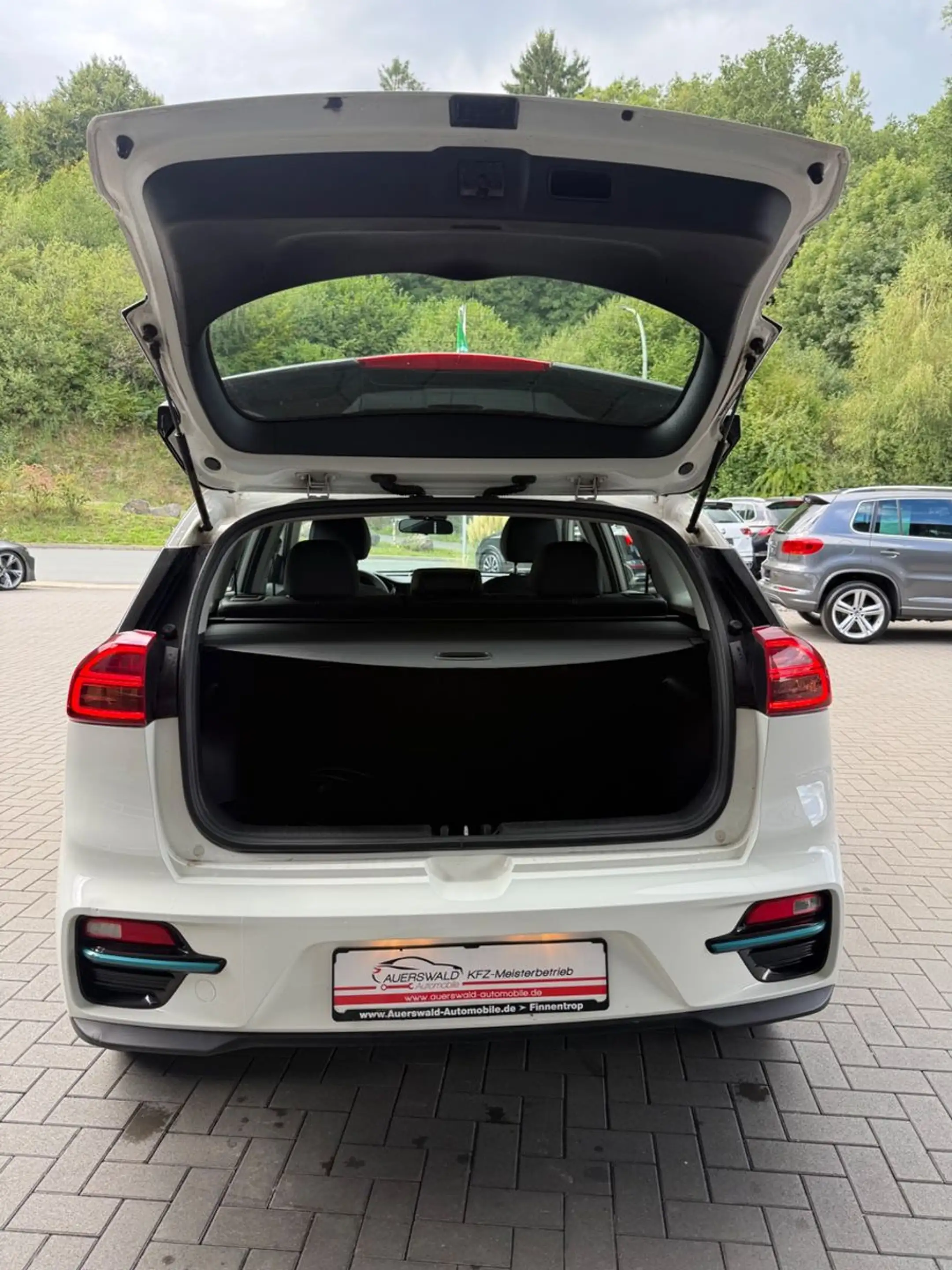 Kia Niro e-Niro Edition 7 *Sitzhzg *Kamera *App — photo 15