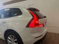 Volvo XC60 Momentum AWD Weiß - thumbnail 18
