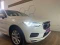 Volvo XC60 Momentum AWD Weiß - thumbnail 7