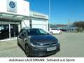 Volkswagen Polo VI MOVE 1.0 TSI Matrix-LED Grau - thumbnail 5