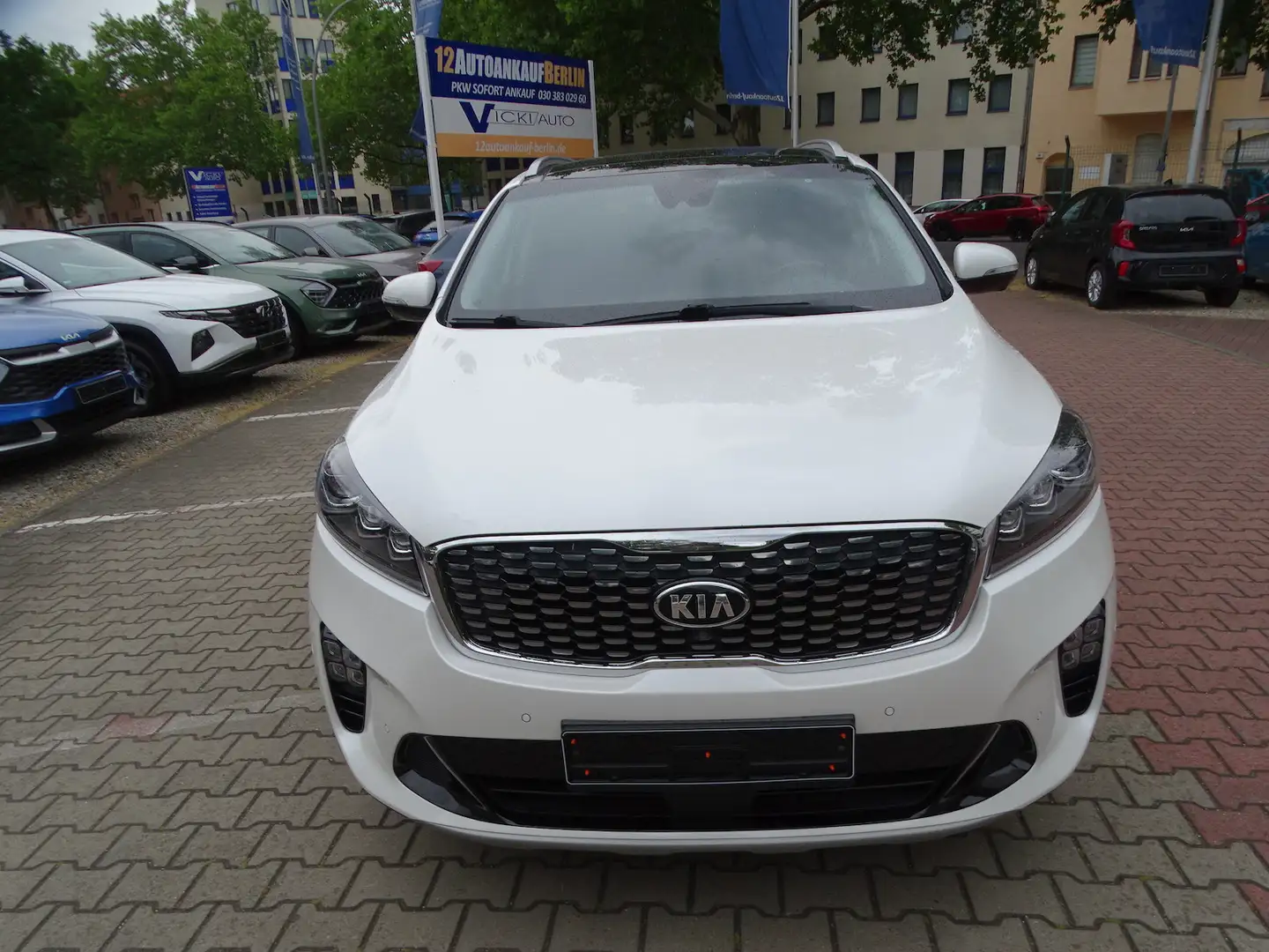 Kia Sorento 2.2 CDI GT-Line 4WD 7 Sitzer White - 2