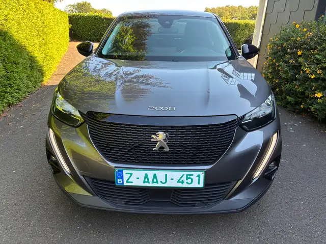 Peugeot 2008 view 10