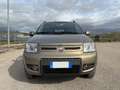 Fiat Panda 1.2 4x4 Glam Bronzo - thumbnail 2