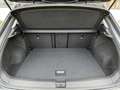 Volkswagen T-Roc 1,5 TSI DSG Style (Sitzhzg.+ACC+RearView) Grau - thumbnail 5