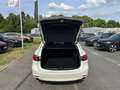 Mazda 6 2.5 194PS AT HOMURA SUNR Matrix-LED 360° Weiß - thumbnail 5