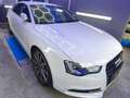 Audi A5 2.0 TDI quattro (130kW) Weiß - thumbnail 4