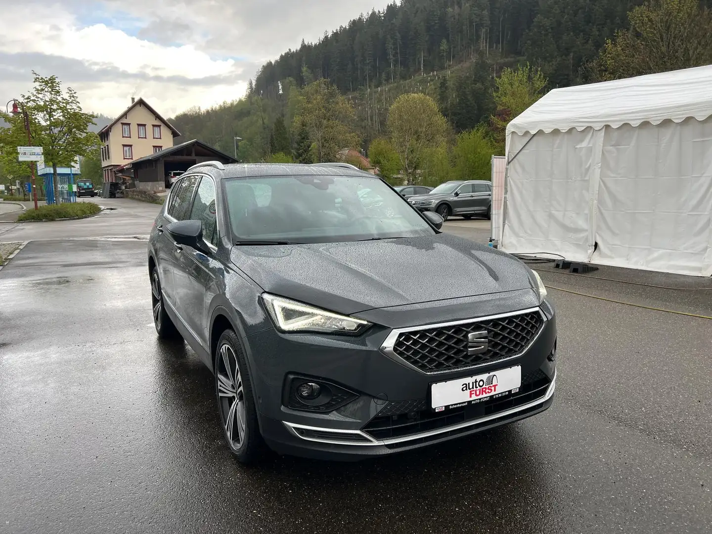 SEAT Tarraco 2.0 TSI Xcellence 4Drive DSG AHK Standh. Gris - 1