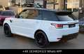 Land Rover Range Rover Sport Blanco - thumbnail 5