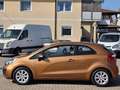 Kia Rio 1,2 CVVT Cool 1-Hand Pickerl+Service-OK Rostfre... Braun - thumbnail 7