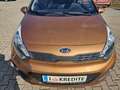 Kia Rio 1,2 CVVT Cool 1-Hand Pickerl+Service-OK Rostfre... Braun - thumbnail 37