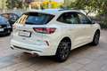 Ford Kuga Kuga 2.5 Plug In Hybrid 225 CV CVT 2WD ST-Line Bianco - thumbnail 5