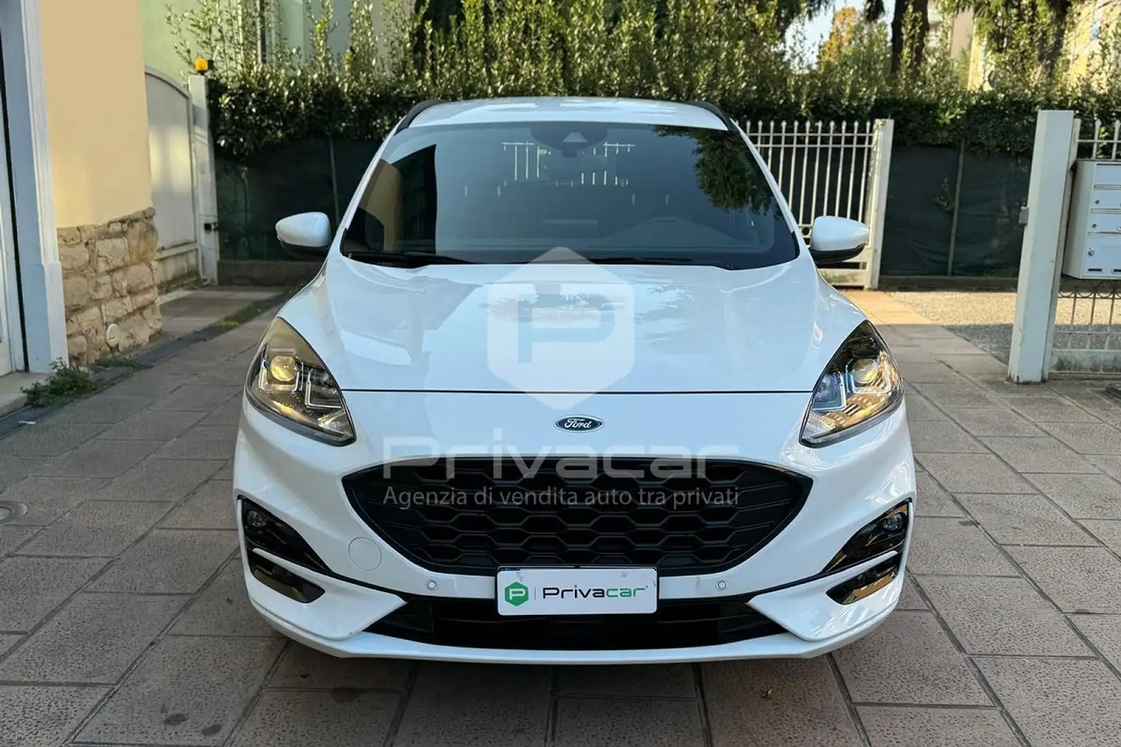 Ford Kuga Kuga 2.5 Plug In Hybrid 225 CV CVT 2WD ST-Line Bianco - 2