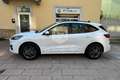 Ford Kuga Kuga 2.5 Plug In Hybrid 225 CV CVT 2WD ST-Line Bianco - thumbnail 8