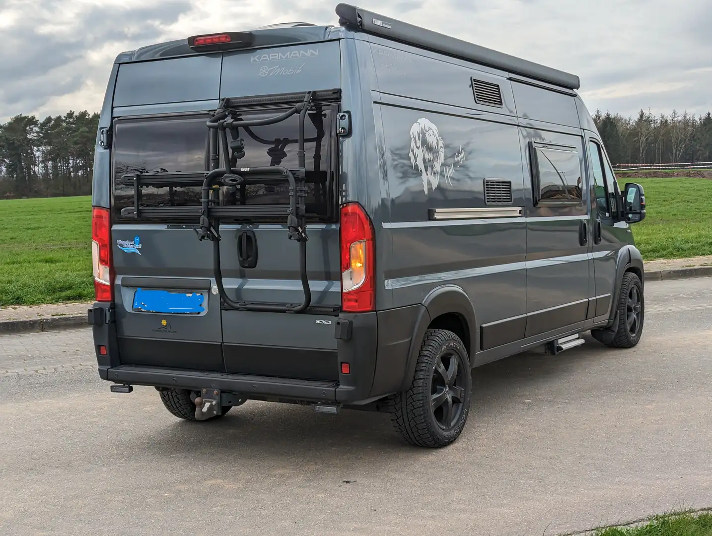 Fiat Ducato Karmann Davis 591 Сірий - 2