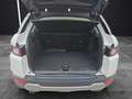 Land Rover Range Rover Evoque 2.0TD4 HSE Dynamic 4WD Aut. 150 Weiß - thumbnail 13