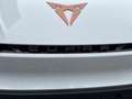 CUPRA Born Edition Dynamic 170kW 77kWh Pilot XL Plus Blanc - thumbnail 14