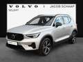 Volvo XC40 2.0 B4 Plus Dark / Audio Harman Kardon / 18" velge Gris - thumbnail 1