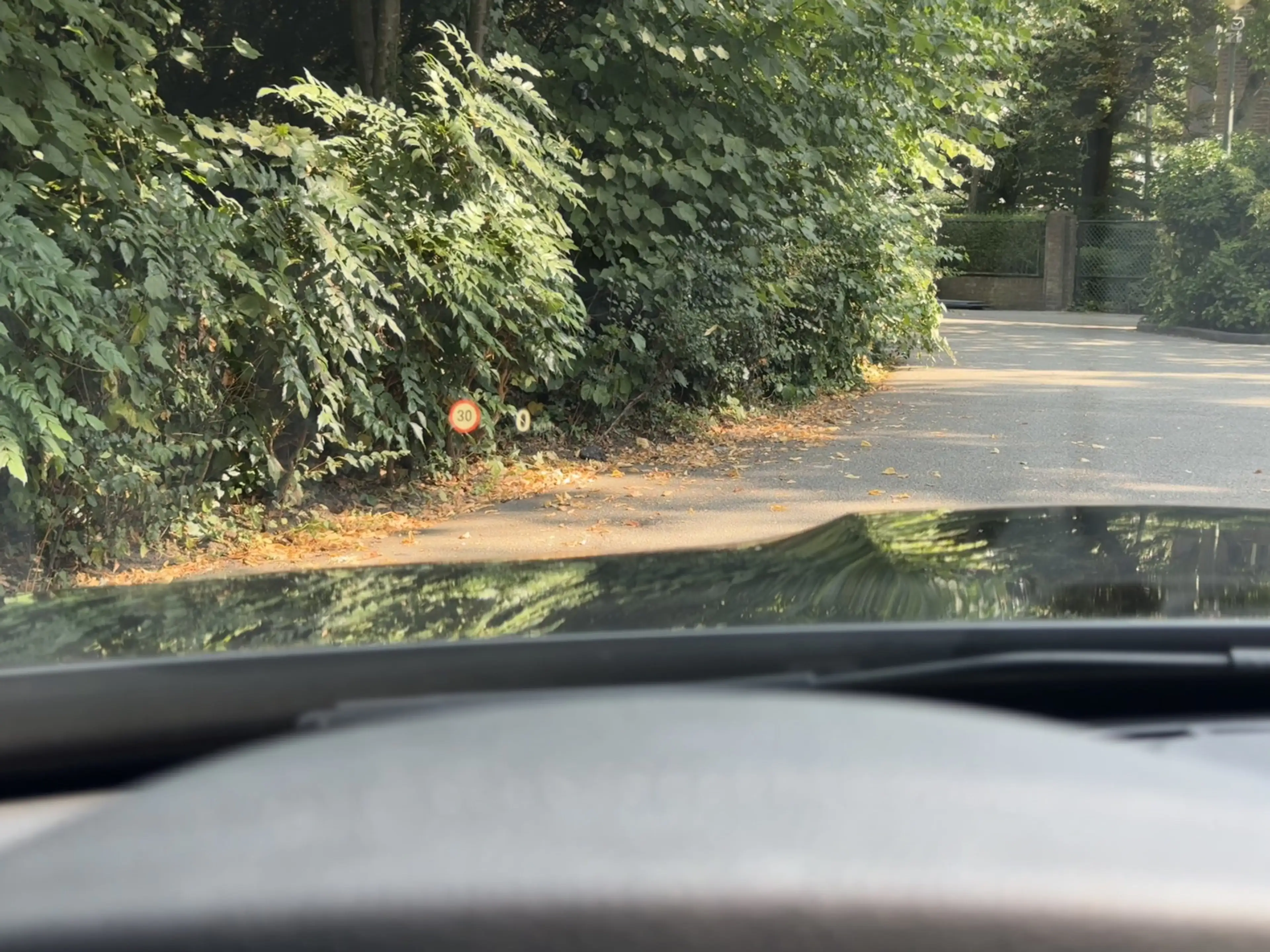 BMW M4 Competition, Carbon, Memory, CarPlay — photo 28