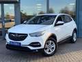 Opel Grandland X 1.2 Turbo Business Edition Airco Navi Automaat Tre Wit - thumbnail 1