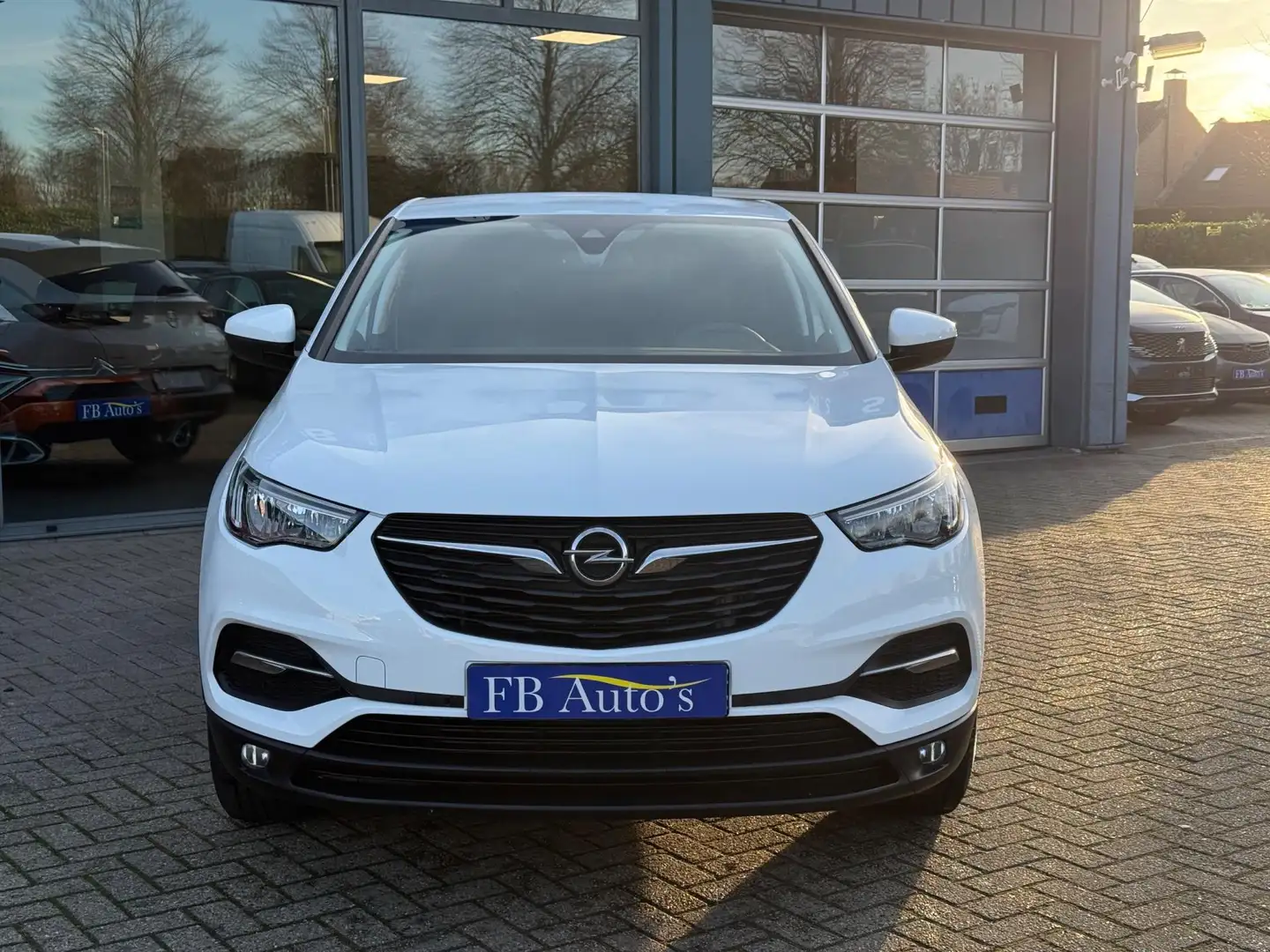 Opel Grandland X 1.2 Turbo Business Edition Airco Navi Automaat Tre Wit - 2