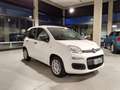 Fiat Panda Panda III 2016 1.2 Easy 69cv Blanc - thumbnail 4