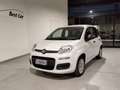 Fiat Panda Panda III 2016 1.2 Easy 69cv Bianco - thumbnail 2