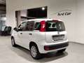 Fiat Panda Panda III 2016 1.2 Easy 69cv Bianco - thumbnail 7