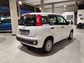 Fiat Panda Panda III 2016 1.2 Easy 69cv Blanc - thumbnail 5