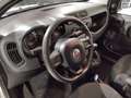Fiat Panda Panda III 2016 1.2 Easy 69cv Bianco - thumbnail 10