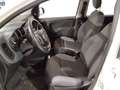 Fiat Panda Panda III 2016 1.2 Easy 69cv Blanc - thumbnail 9