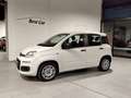 Fiat Panda Panda III 2016 1.2 Easy 69cv Blanc - thumbnail 1